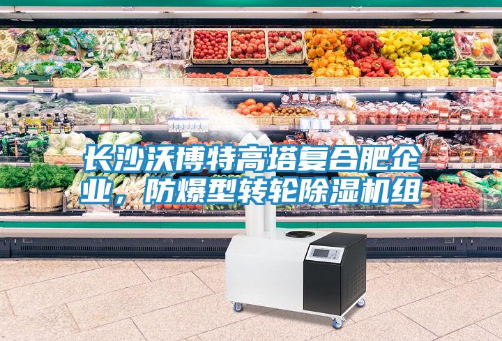長沙沃博特高塔復(fù)合肥企業(yè)，防爆型轉(zhuǎn)輪除濕機(jī)組