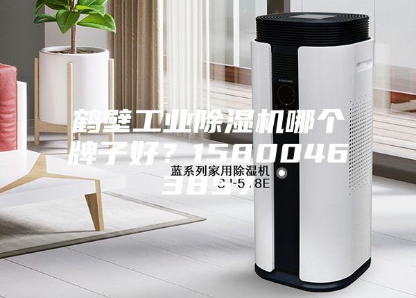 鶴壁工業(yè)除濕機(jī)哪個(gè)牌子好？15800463857