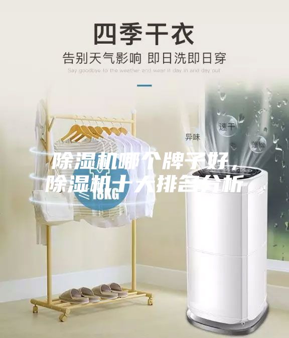 除濕機哪個牌子好，除濕機十大排名分析