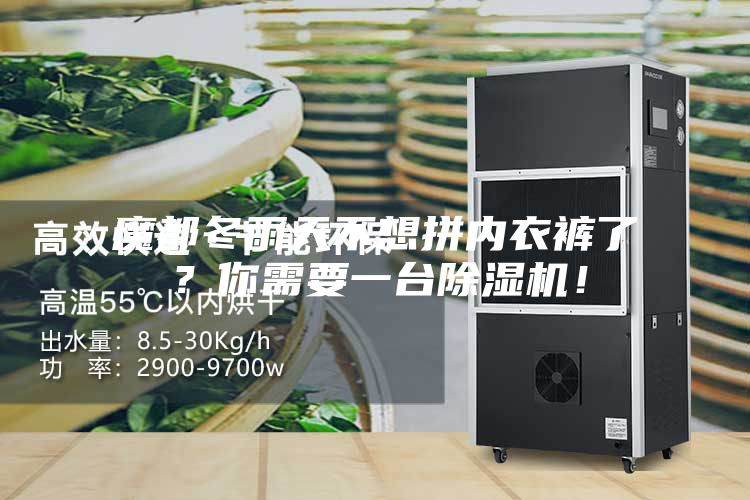 魔都冬雨天不想拼內(nèi)衣褲了？你需要一臺(tái)除濕機(jī)！