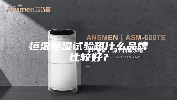 恒溫恒濕試驗(yàn)箱什么品牌比較好？