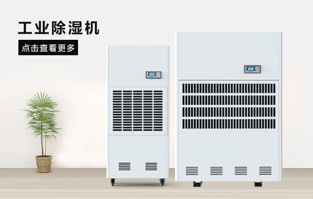 這間熱帶雨林辦公室，不潮濕不下雨還讓員工忘記了在工作