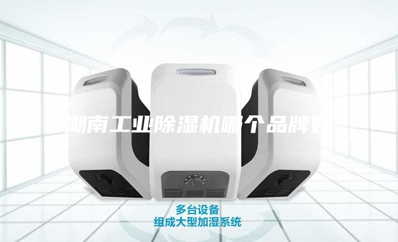 湖南工業(yè)除濕機(jī)哪個品牌好