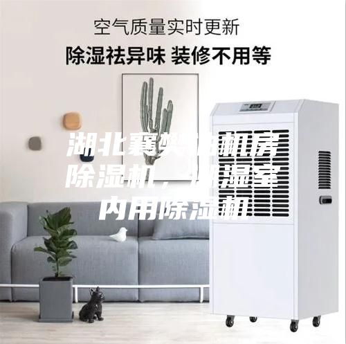 湖北襄樊油機房除濕機，潮濕室內用除濕機