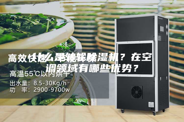 什么是轉輪除濕機？在空調(diào)領域有哪些優(yōu)勢？