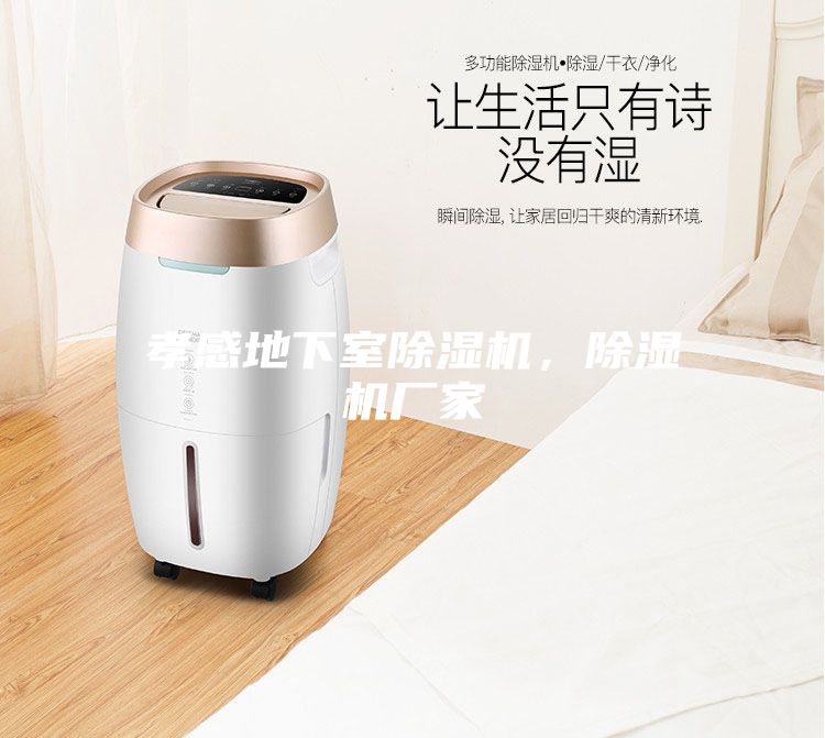 孝感地下室除濕機，除濕機廠家