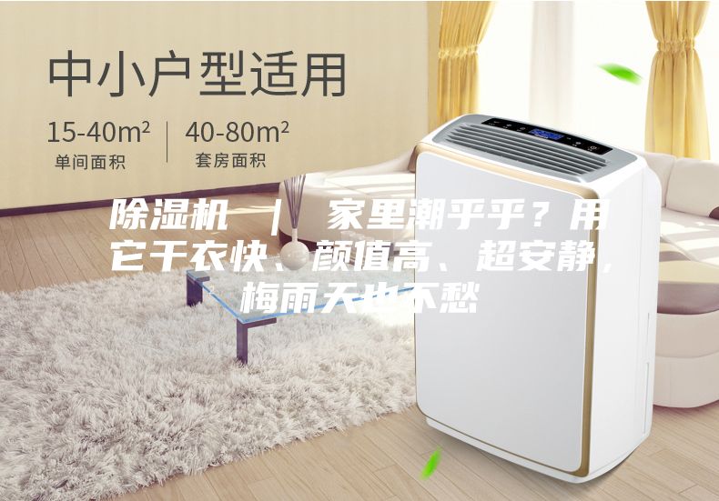 除濕機 ｜ 家里潮乎乎？用它干衣快、顏值高、超安靜，梅雨天也不愁