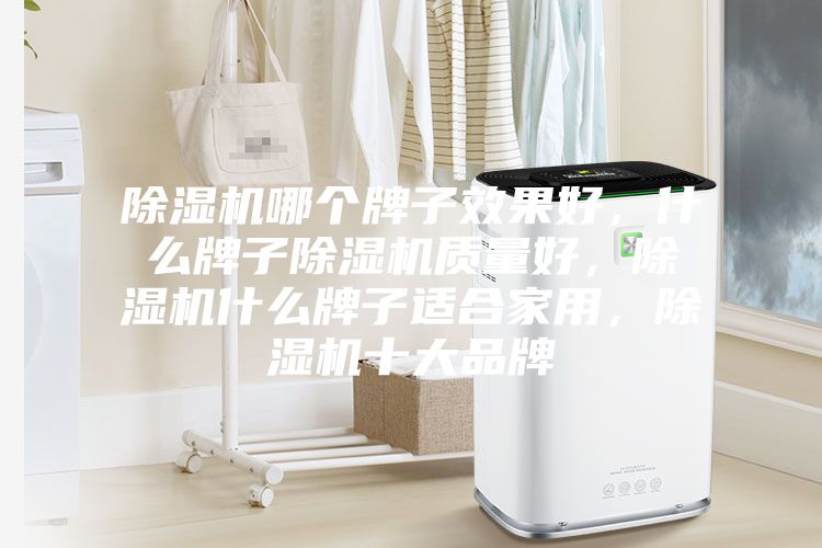 除濕機哪個牌子效果好，什么牌子除濕機質量好，除濕機什么牌子適合家用，除濕機十大品牌
