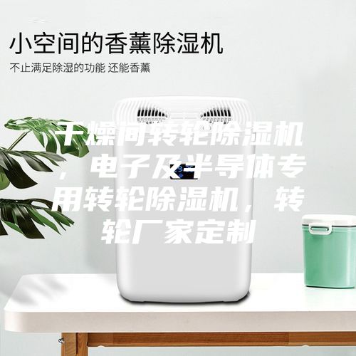 干燥間轉輪除濕機，電子及半導體專用轉輪除濕機，轉輪廠家定制