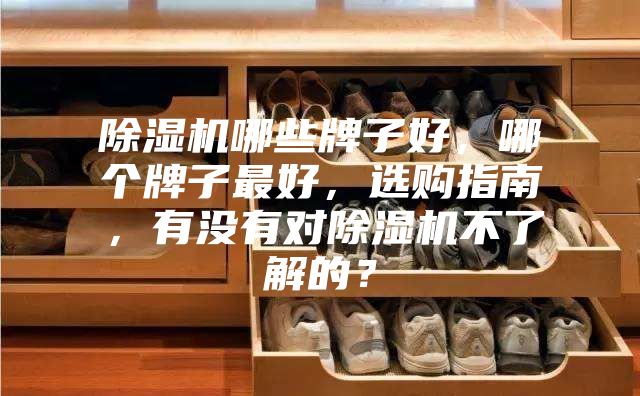 除濕機哪些牌子好，哪個牌子最好，選購指南，有沒有對除濕機不了解的？