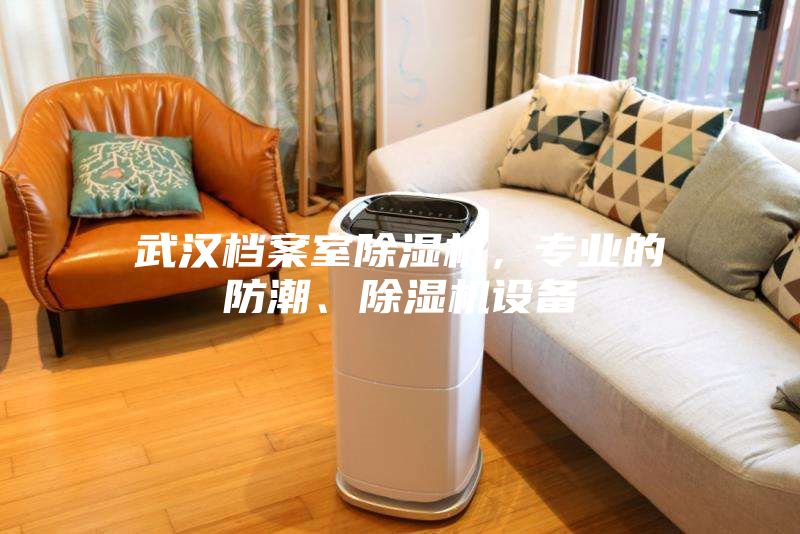 武漢檔案室除濕機，專業的防潮、除濕機設備