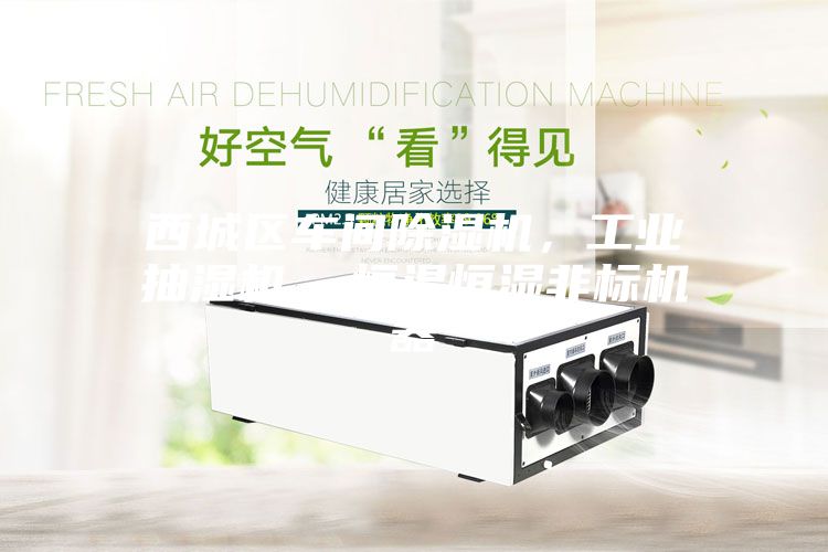 西城區車間除濕機，工業抽濕機  恒溫恒濕非標機器