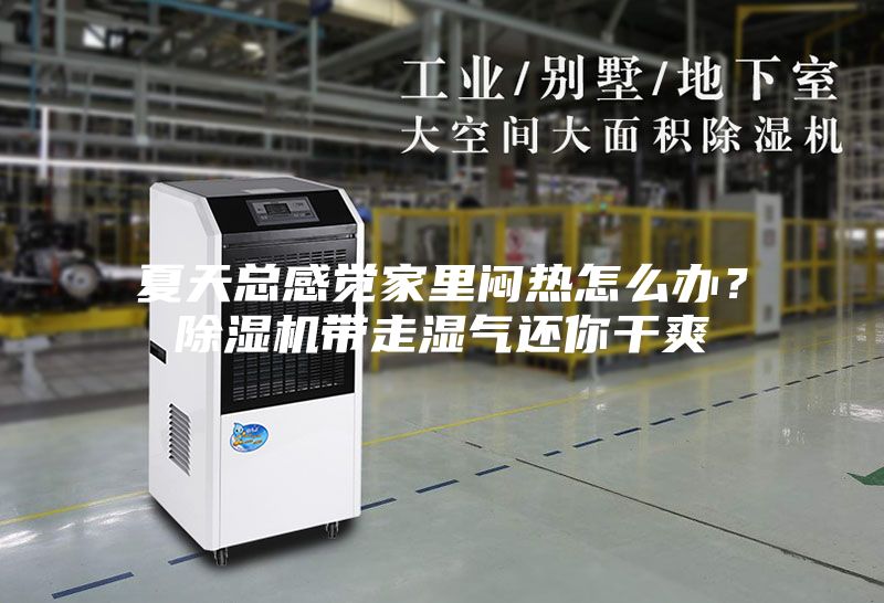 夏天總感覺家里悶熱怎么辦？除濕機帶走濕氣還你干爽