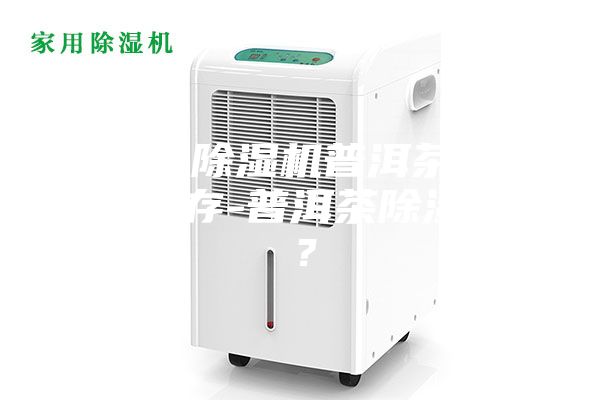沒有除濕機普洱茶怎么保存-普洱茶除濕嗎？