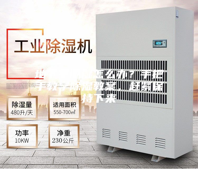 地下室潮濕怎么辦？手把手教學除濕教案，趕緊保持下來