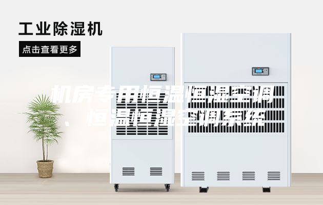 機(jī)房專用恒溫恒濕空調(diào)、恒溫恒濕空調(diào)系統(tǒng)