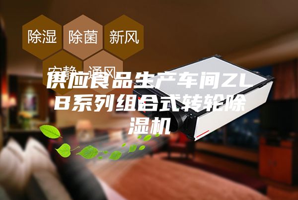 供應(yīng)食品生產(chǎn)車(chē)間ZLB系列組合式轉(zhuǎn)輪除濕機(jī)