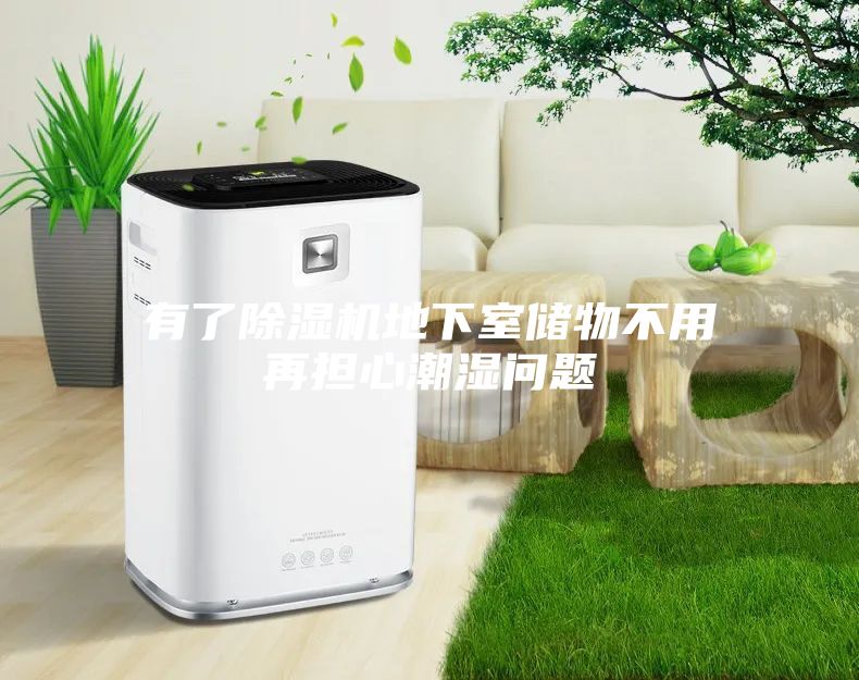 有了除濕機(jī)地下室儲(chǔ)物不用再擔(dān)心潮濕問題