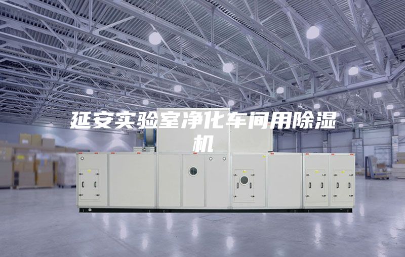 延安實驗室凈化車間用除濕機(jī)