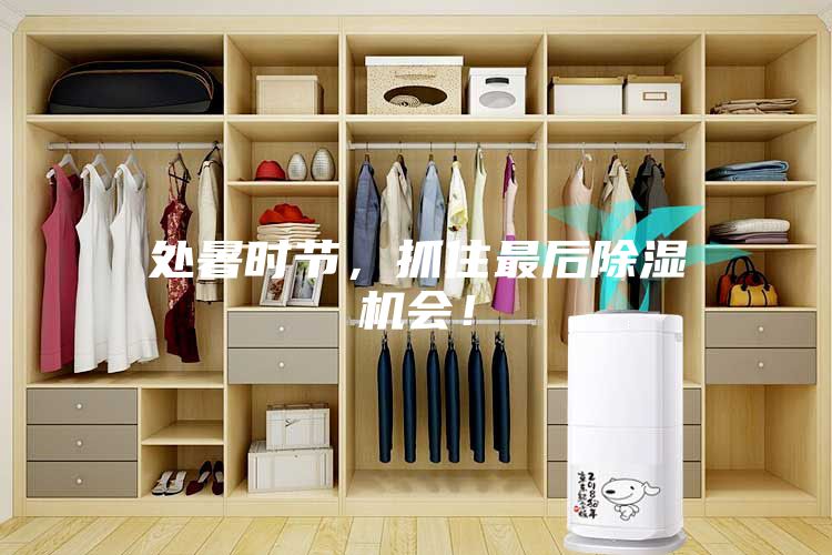 處暑時節(jié)，抓住最后除濕機(jī)會！