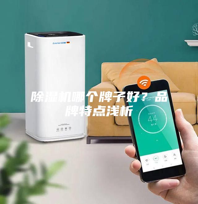 除濕機哪個牌子好？品牌特點淺析