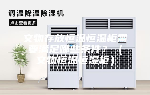 文物存放恒溫恒濕柜需要滿足哪些條件？（文物恒溫恒濕柜）
