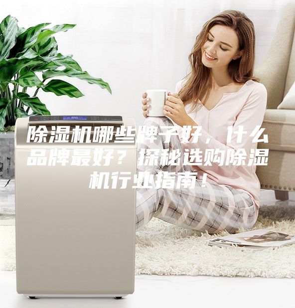 除濕機哪些牌子好，什么品牌最好？探秘選購除濕機行業指南！