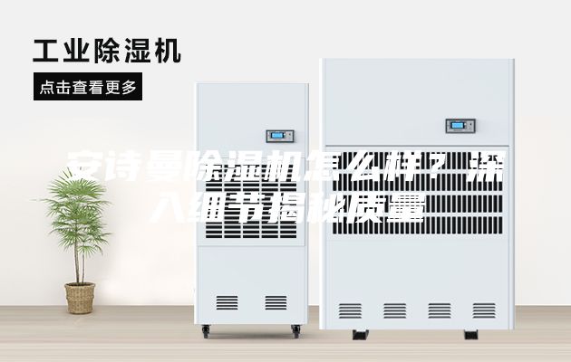 安詩曼除濕機怎么樣？深入細節揭秘質量