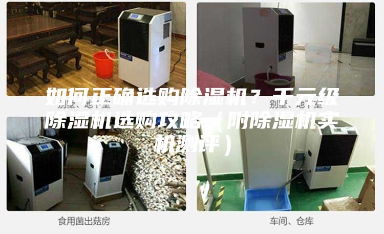 如何正確選購除濕機(jī)？千元級除濕機(jī)選購攻略（附除濕機(jī)實機(jī)測評）