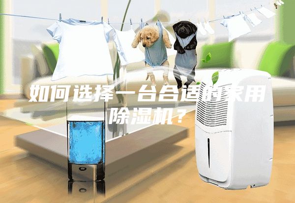 如何選擇一臺合適的家用除濕機(jī)？