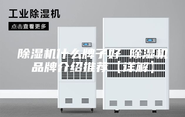 除濕機(jī)什么牌子好 除濕機(jī)品牌介紹推薦【詳解】