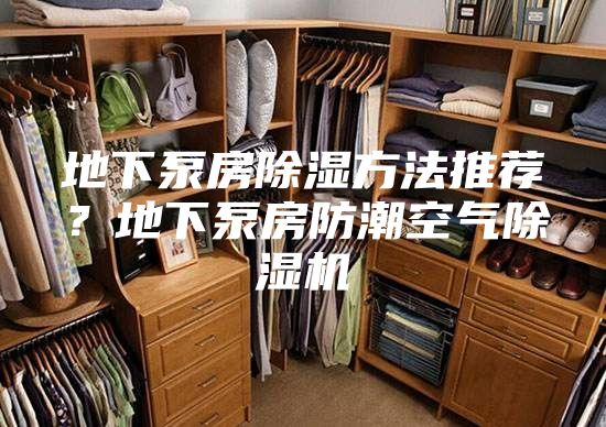 地下泵房除濕方法推薦？地下泵房防潮空氣除濕機(jī)