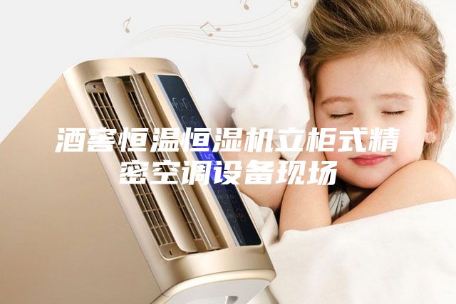 酒窖恒溫恒濕機立柜式精密空調(diào)設(shè)備現(xiàn)場