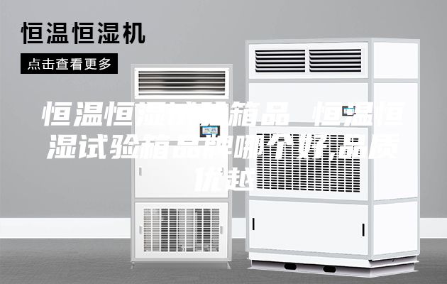 恒溫恒濕試驗箱品 恒溫恒濕試驗箱品牌哪個好,品質優越