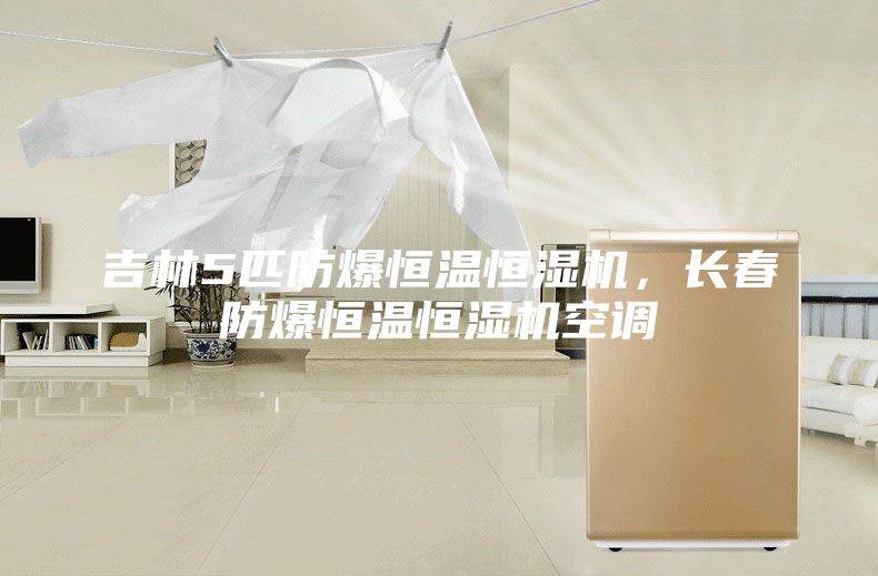 吉林5匹防爆恒溫恒濕機，長春防爆恒溫恒濕機空調(diào)