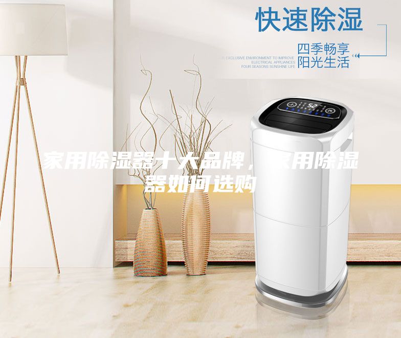 家用除濕器十大品牌，家用除濕器如何選購