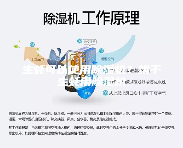 生蠔可以使用除濕機(jī)？烘干生蠔用除濕機(jī)
