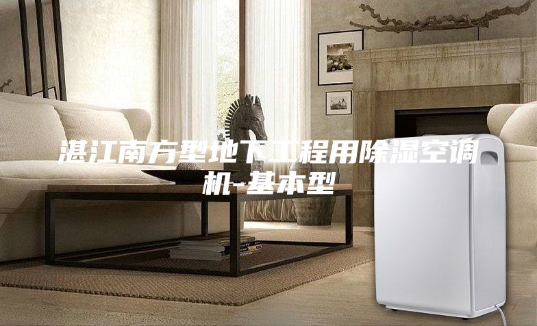 湛江南方型地下工程用除濕空調機-基本型