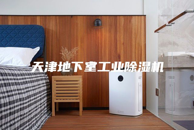 天津地下室工業(yè)除濕機(jī)
