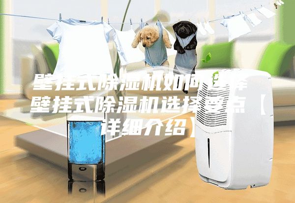 壁掛式除濕機(jī)如何選擇 壁掛式除濕機(jī)選擇要點(diǎn)【詳細(xì)介紹】