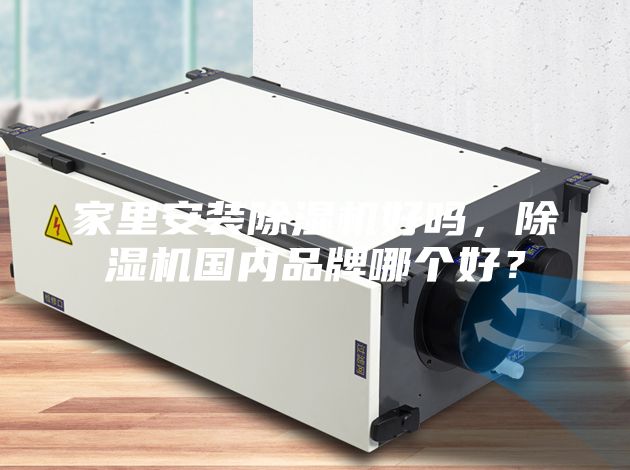 家里安裝除濕機好嗎，除濕機國內品牌哪個好？