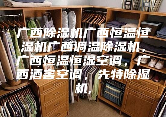 廣西除濕機廣西恒溫恒濕機廣西調溫除濕機，廣西恒溫恒濕空調，廣西酒窖空調，先特除濕機,