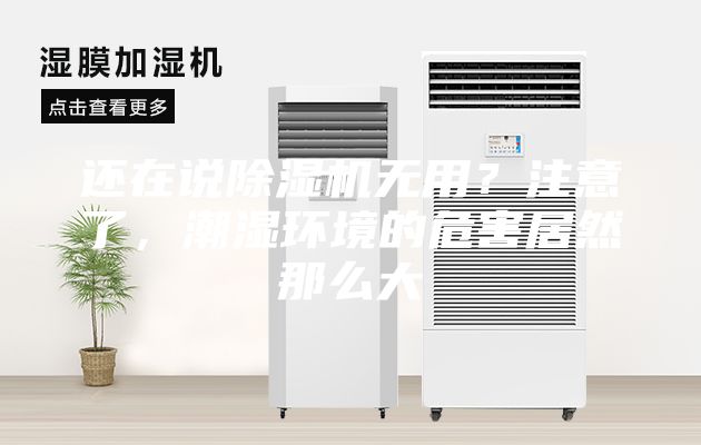 還在說除濕機無用？注意了，潮濕環境的危害居然那么大