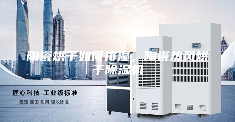 陶瓷烘干如何排濕，陶瓷熱風(fēng)烘干除濕機