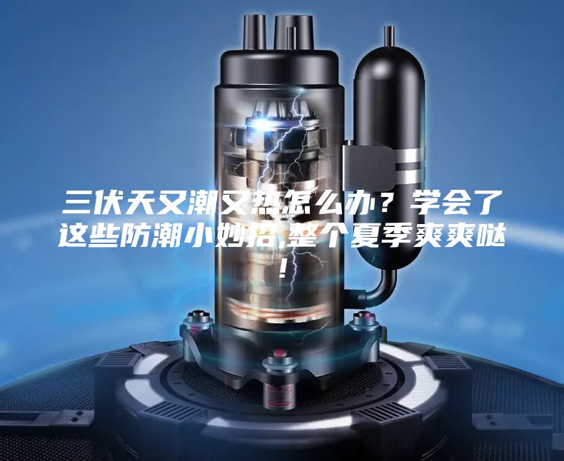 三伏天又潮又熱怎么辦？學會了這些防潮小妙招,整個夏季爽爽噠!