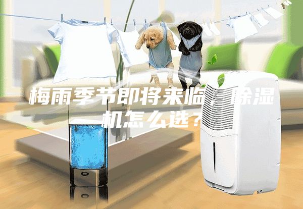 梅雨季節即將來臨，除濕機怎么選？