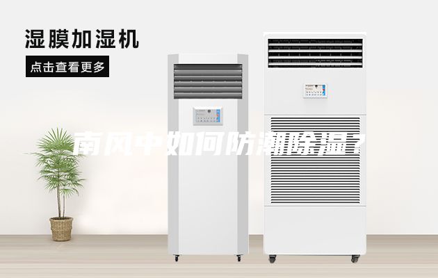 南風中如何防潮除濕？