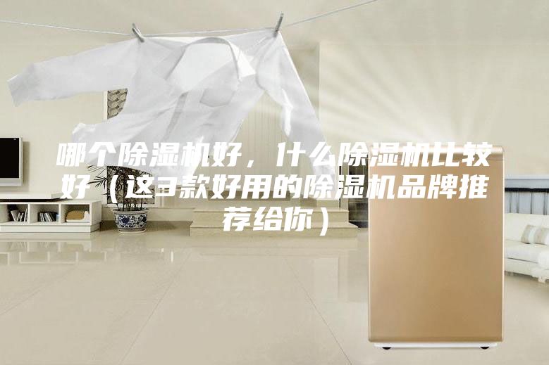 哪個除濕機好，什么除濕機比較好（這3款好用的除濕機品牌推薦給你）