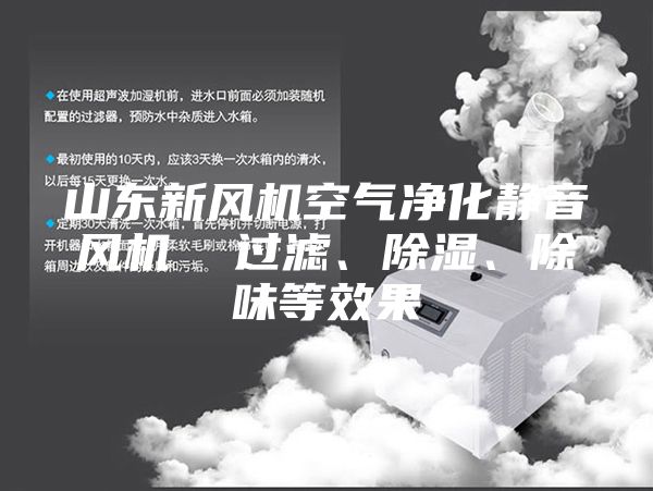 山東新風(fēng)機空氣凈化靜音風(fēng)機  過濾、除濕、除味等效果