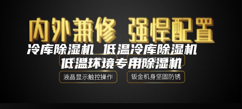 冷庫(kù)除濕機(jī) 低溫冷庫(kù)除濕機(jī)  低溫環(huán)境專用除濕機(jī)